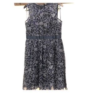 Navy and white dress